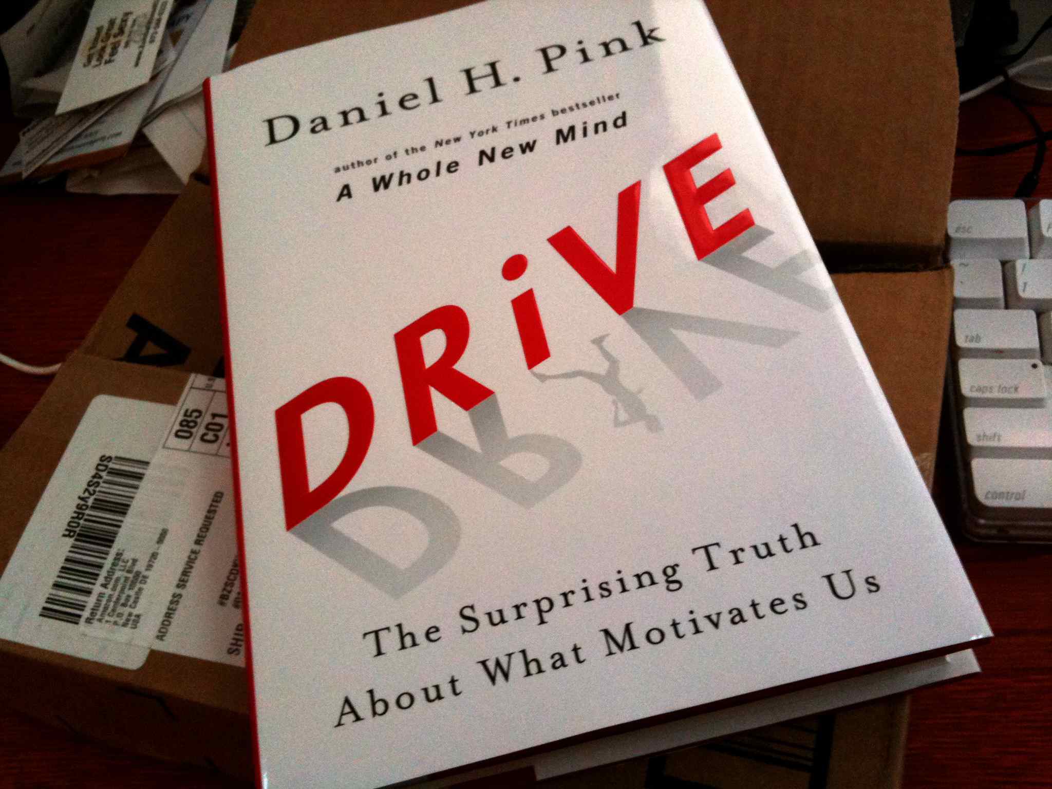 Daniel Pink – Drive: The Surprising Truth About What Motivates Us (RSAnimate)